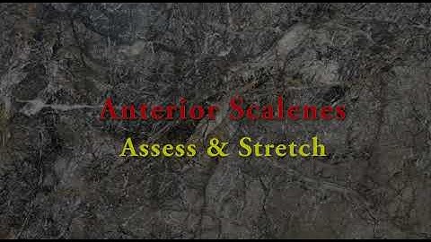 Anterior Scalene Myoskeletal Alignment Technique