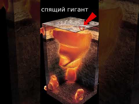 Если он проснётся то нам КОНЕЦ СВЕТА #shorts