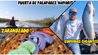 CURVINAS GIGANTES CON CAMARÓN VIVO EN MANGLARES DE CUAUTLA // PESCADO ZARANDEADO ESTILO NAYARIT