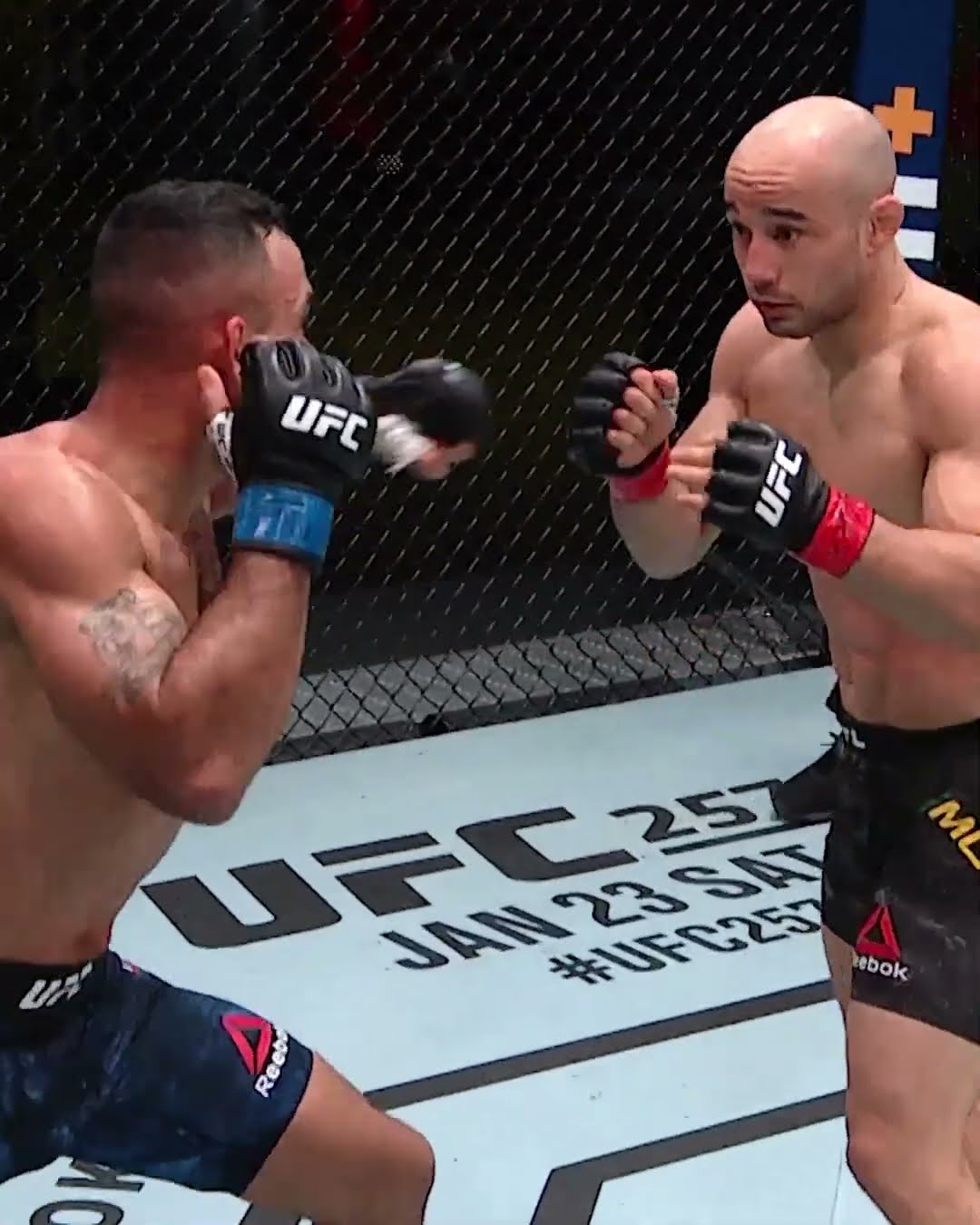 Y'all got Rob Font winning this weekend? #ufcseattle