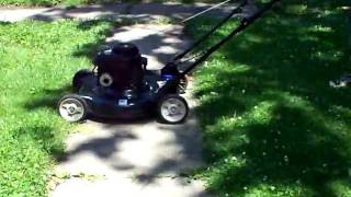 Bolens Troy-Bilt Push 22