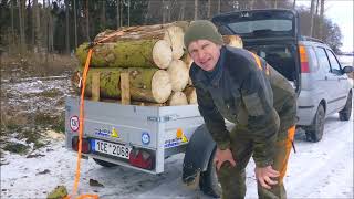 : Forest job / Echo 4310 SX - Zpracov'an'i dreva na palivo #403