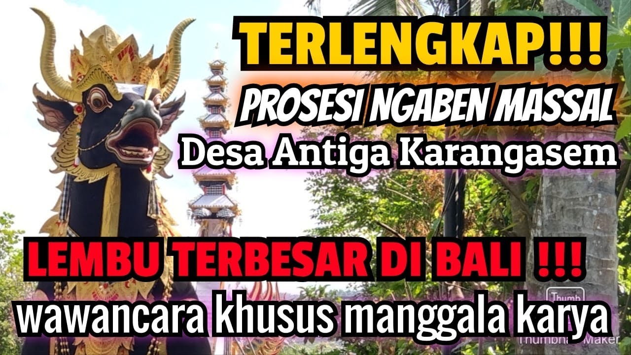 LEMBU TERBESAR DI BALI!!! NGABEN MASSAL DESA ANTIGA KARANGASEM