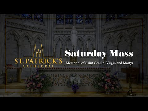 Saturday Mass November 22nd 2025