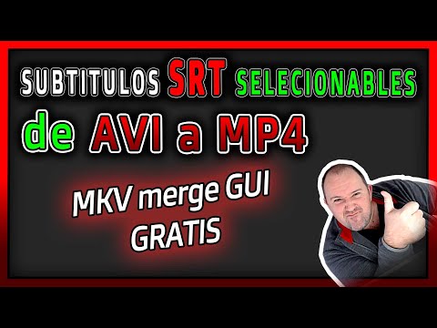 Vídeo: Com Afegir Subtítols A Avi