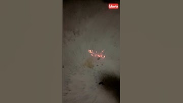 #shorts Testing ₹10 🤑 Kit Kat cracker || trending short  #crackers #testing #kitkat #trending