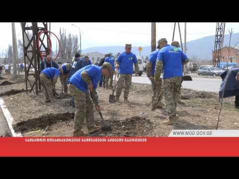 სამხედრო მოსამსახურეები გამწვანების აქციაში ჩაერთვნენ