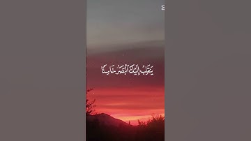 “سورة الملك تشفع لصاحبها حتى يُغفر له، فلنحرص عليها دائمًا”♥