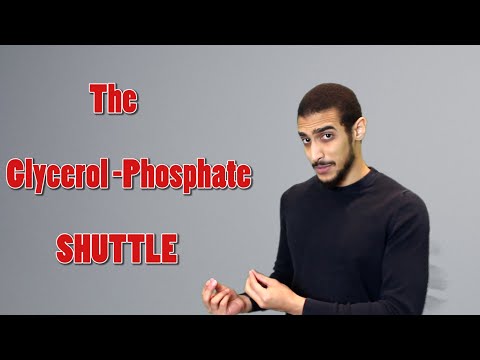 Video: Šta je glicerat fosfat?