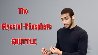 Glycerol Phosphate shuttle شرح بالعربي