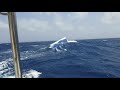 Catamaran Sailing In Big Seas off Colombia