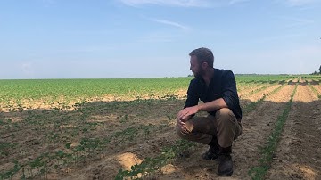 Basic Soil Test And What To Look For In Good Soil