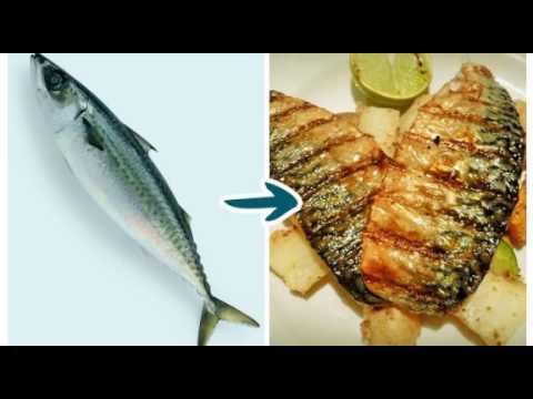 ОСТОРОЖНО — 9 ВИДОВ РЫБЫ, КОТОРЫЕ ОПАСНО ЕСТЬ!