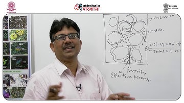 M-10. Reservoir rocks: general attributes and petrophysical properties