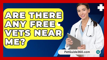 Are There Any Free Vets Near Me? - PetGuide360.com