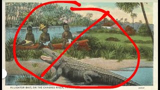Black babies used as Alligator bait (Debunked)