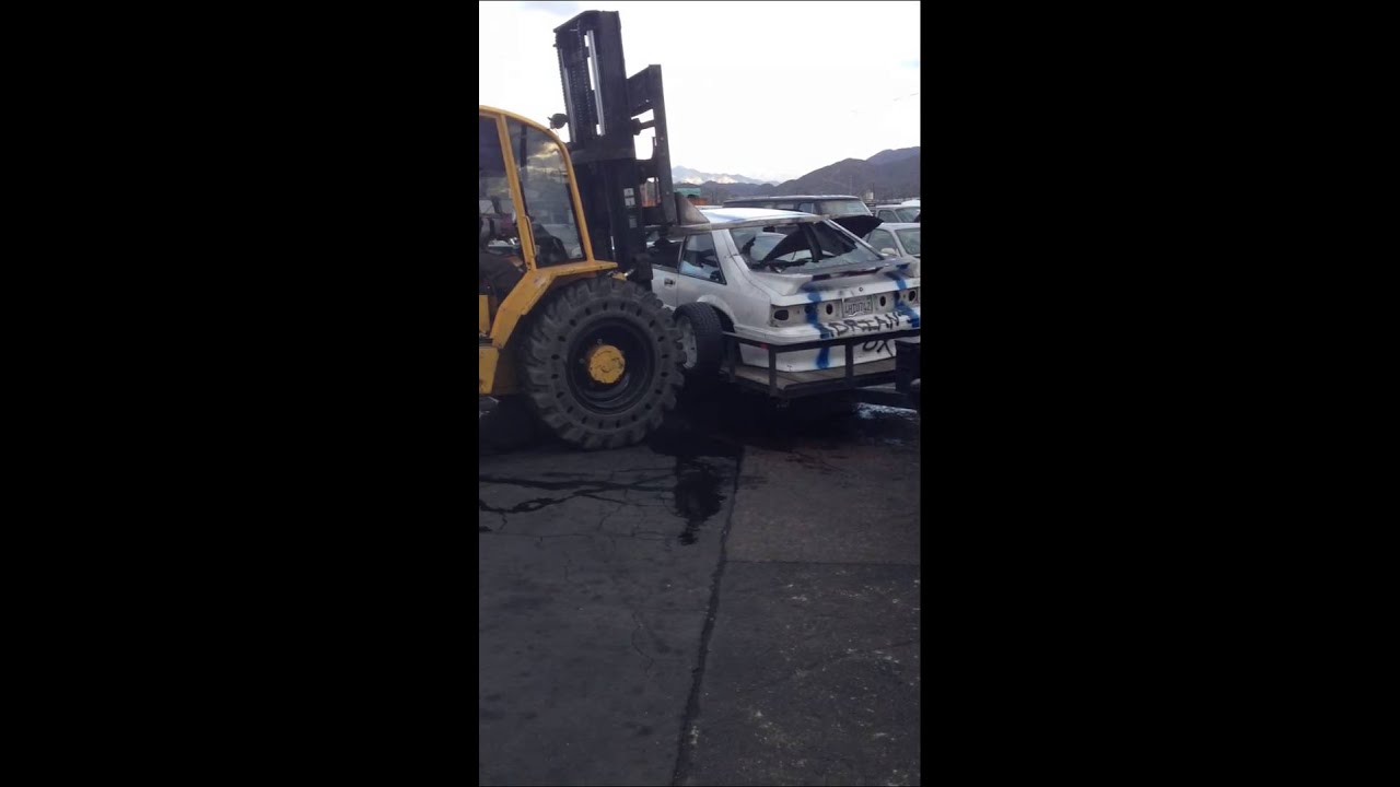 Destruction of a mustang