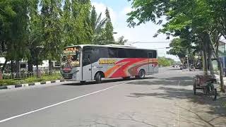 BUS MIRA KELUAR TERMINAL ANJUK LADANG | KASIH BONUS KLAKSON