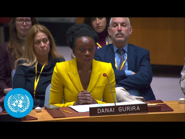 Danai Gurira Addresses UN Security Council on Sexual Violence in Conflict | United Nations