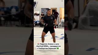 Нурулло Алиев 🇹🇯 в зале «Sanford MMA» тренируется с одним из лучших бойцов мира Гилбертом Бернсом🇧🇷