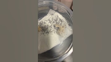 Fertilized silkworm eggs will turn black after 3 days