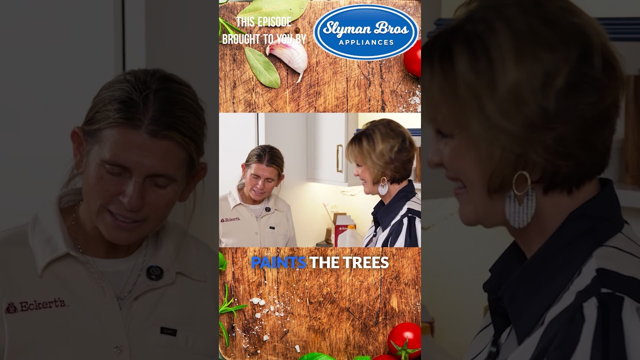 От рубки рождественских елок до покраски их в синий цвет (да, это правда)