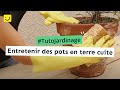 Entretenir des pots en terre cuite