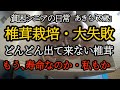【貧困シニア】あきら79歳、指定難病。椎茸栽培失敗。薬漬、副作用多発。豪雪地帯。。過酷な日々。大雪でも通院2時間。年金一人暮らし　シニアライフ