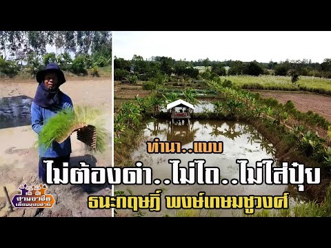 ทำนาแบบ"ไม่ต้องดำ..ไม่ไถ..ไม่ใส่ปุ๋ย" กฤษฏิ์-ธนะกฤษฏิ์ พงษ์เกษมชูวงศ์//สามอาชีพฯ