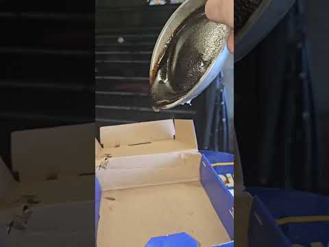 What Temperature Should Oil In Car Be