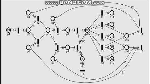 Petri Net Model for 10-AWG Carton Type