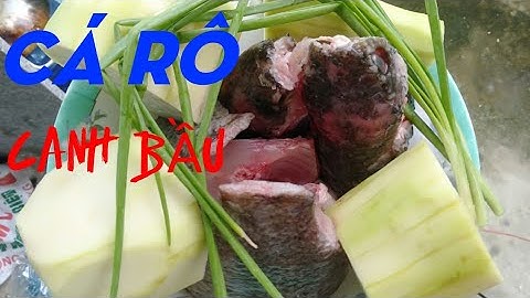 Cá rô canh bầu cho bữa cơm đồng quê_perch with gourd soup for a country meal/HGQA #74