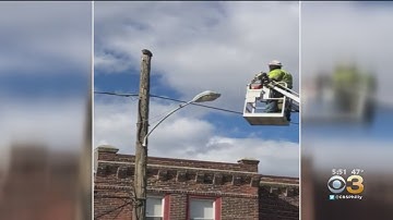 Verizon Worker Suspended After Rescuing Cat In Port Richmond