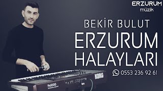 Bekir Bulut - Erzurum Halayları ( Erzurum Ovaları & Kars'a Giderim ) | Erzurum Müzik © 2021