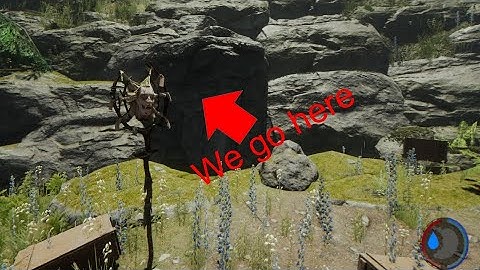 The Forest Part Two: Submerged Cave