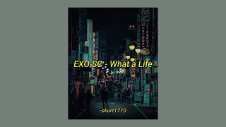 EXO SC - What a Life Aesthetic lyrics (rom/eng trans)