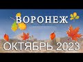 Новости Воронежа Октябрь 2023