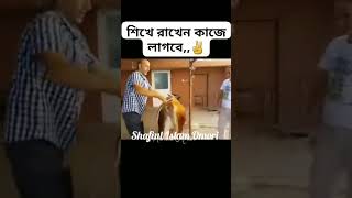 সহজে গরু ফেলানোর কৌশল।  সকলের কাজে লাগতে পারে। গরু কোরবানী গরু_ফেলানোর_কৌশল