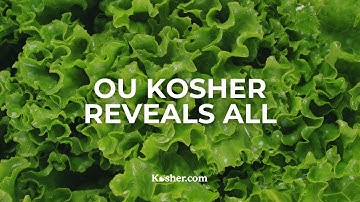 The Step-By-Step Check