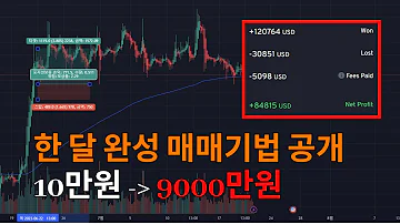 한 달만에 10만원을 9000만원까지 만든 쉽고 수익성 있는 매매법 분석