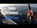 Tuna popping chesty camera