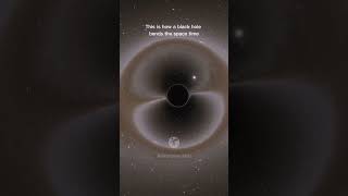 "What Happens When Space-Time Bends? Inside the Mind-Bending Power of Black Holes"