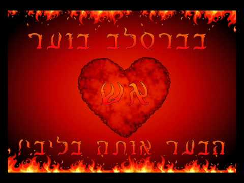 הרב סבג טראנס 4 