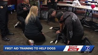Veterinarian trains first responders in K9 first aid to give four-legged police better chance at ...
