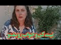 تاروت فال 2 تانیت کن و جواب رو بشنو تاروت فال 2 تانیت کن و جواب رو بشنو