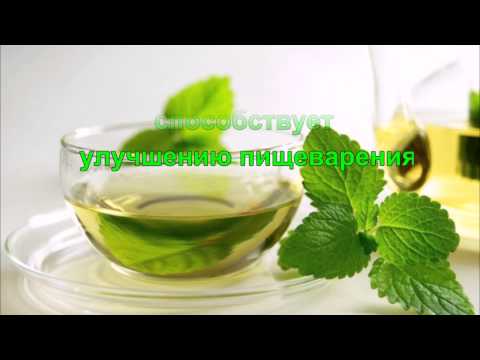 7 рецептов wellness для шиповника