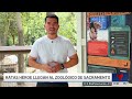Zoológico de Sacramento recibe tres ratas héroe procedentes de África