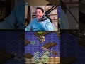 شبكة AIR MISÈRE Dofus Dofusunity Sram Twitchfr 