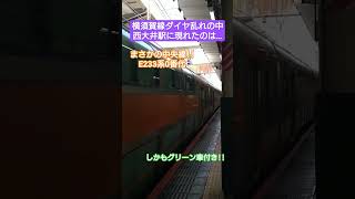 横須賀線ダイヤ乱れの中現れたのは!? #jr #train #電車 #横須賀線 #通過シーン #試運転 #e233系 #中央線 #グリーン車 #jr東日本 #railway #撮り鉄