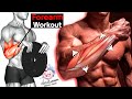 Exercises To Build Your Forearm Workout / Wrist